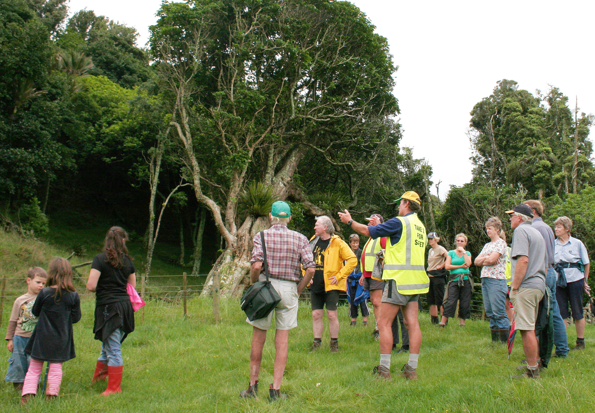 Robert and Kaye Hamilton are justifiably proud of the many protected, revegetating, areas of native bush they are working hard to nurture on their Awhitu beef farm